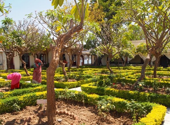 Gardens on Jagmandir Island