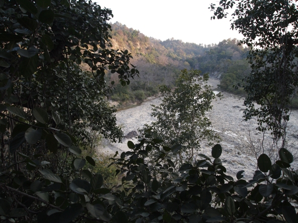 the view of the "moonsoon" river from the Banyan tree house